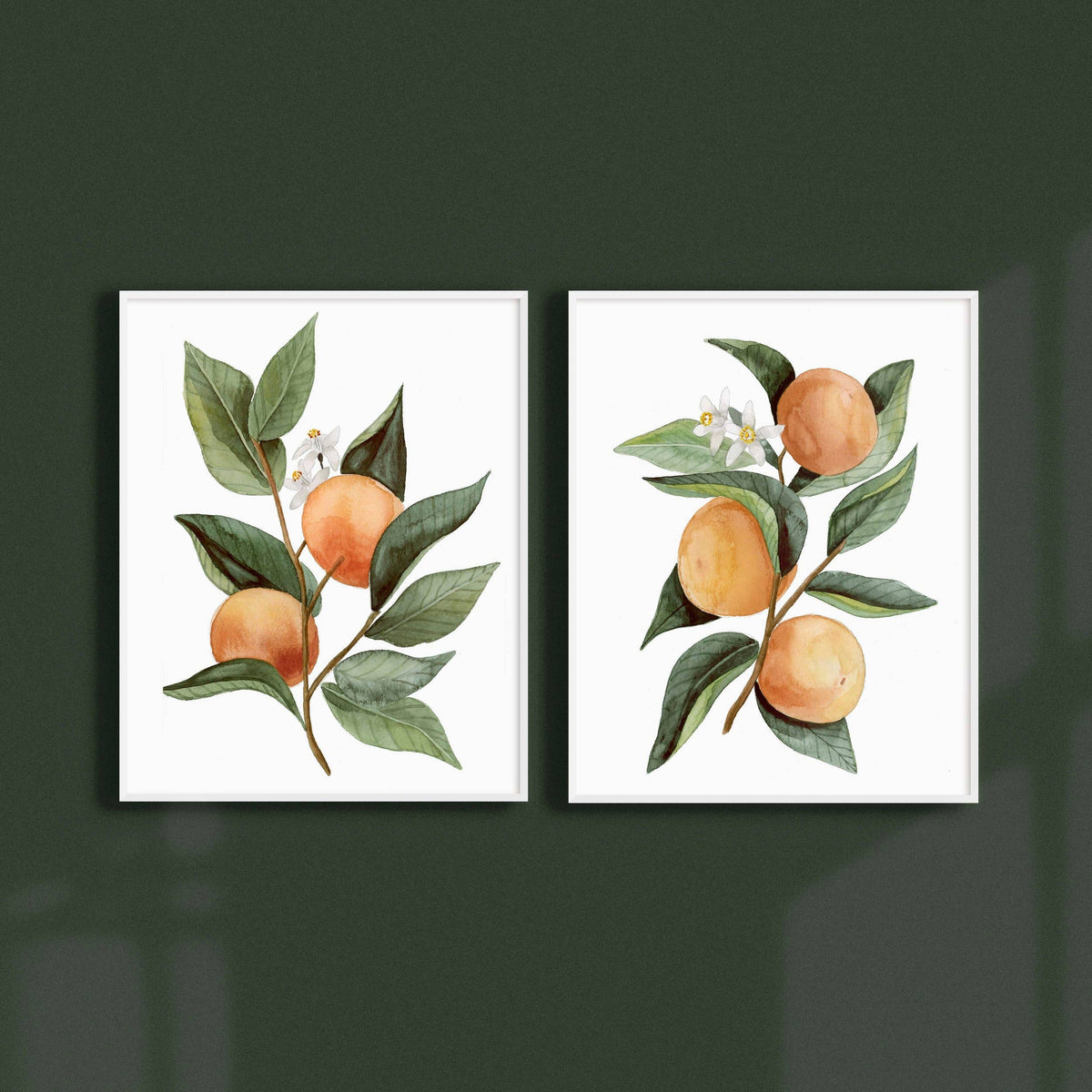 Florida Citrus Botanical Print | Watercolor Fine Art
