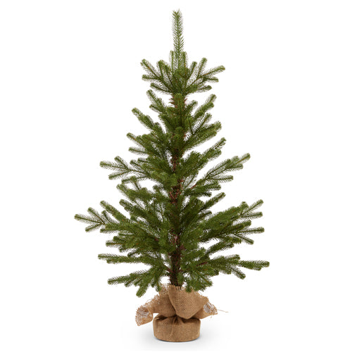 36" Noble Fir Tree in Burlap Bag
