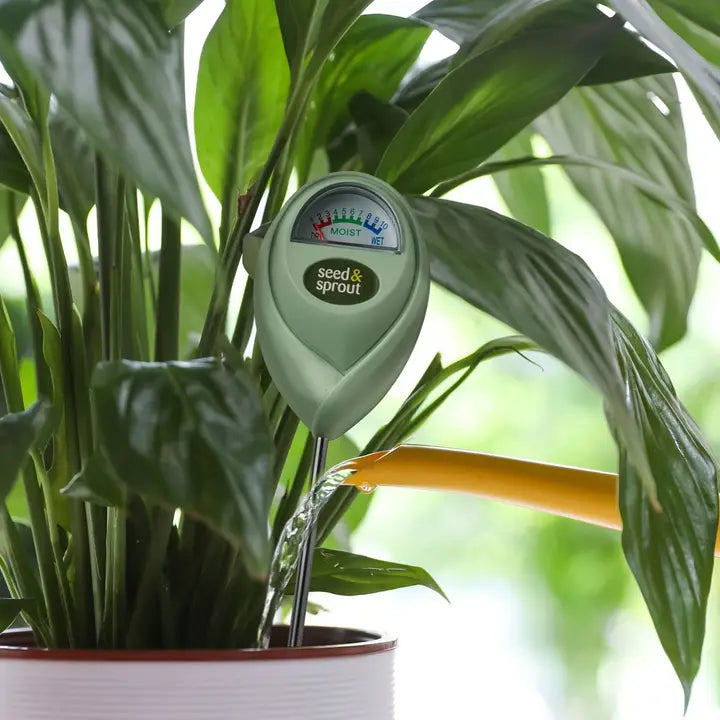 Seed & Sprout Potted Plant Moisture Meter