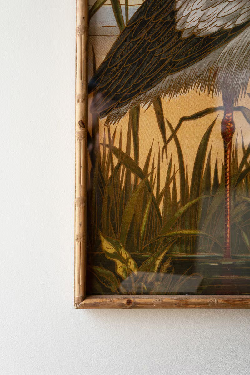 Framed Heron Prints under Glass