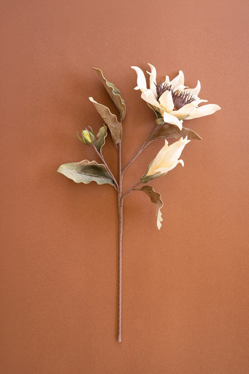 Botanica #2797