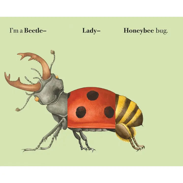 Build a Bug - Make Your Own Wacky Insect Book