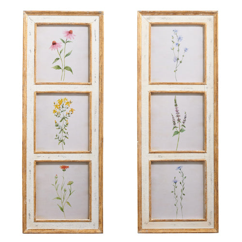 Botanical Floral Framed Wall Art