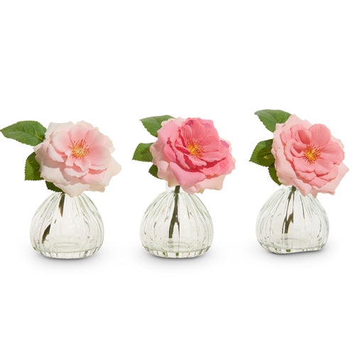 Pink Rose Stem in Glass Vase