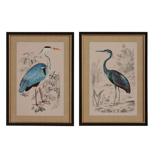 Blue Heron Framed Print