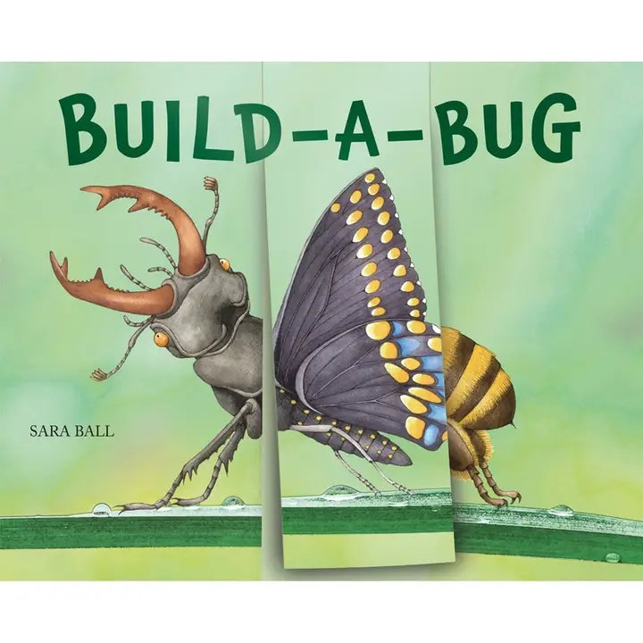 Build a Bug - Make Your Own Wacky Insect Book