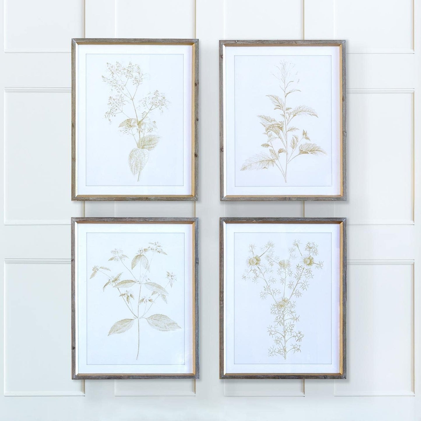 Sepia Botanical Framed Prints