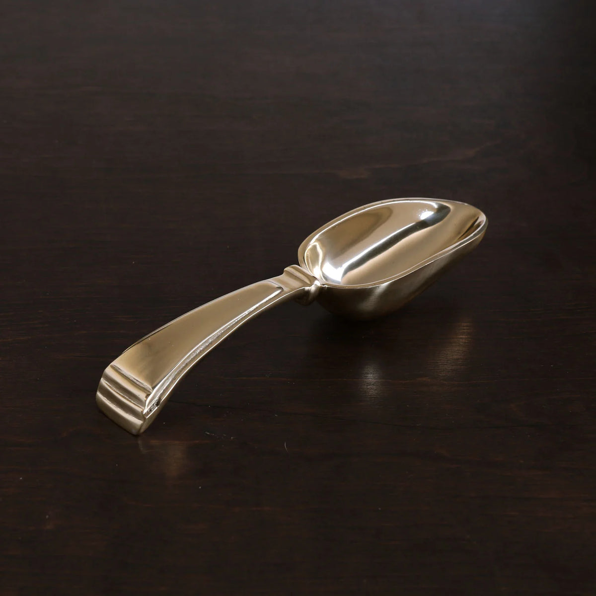 Sierra Modern Alejandra ice Scoop Gold