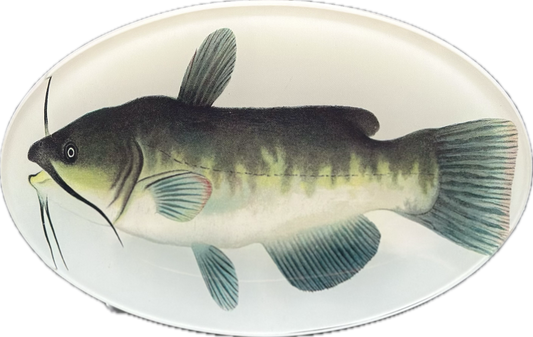 Catfish Plate