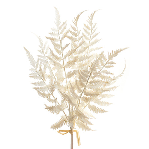 20" Soft Touch White Fern Bundle