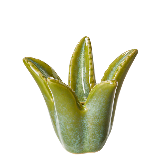 Aloe Vera Taper Holder