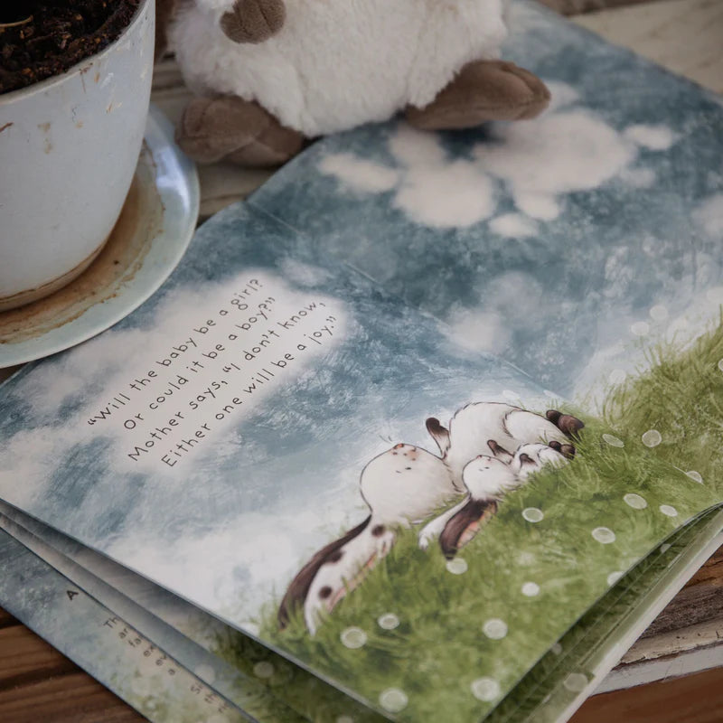 Who Will Our New Baby Be? Board Book