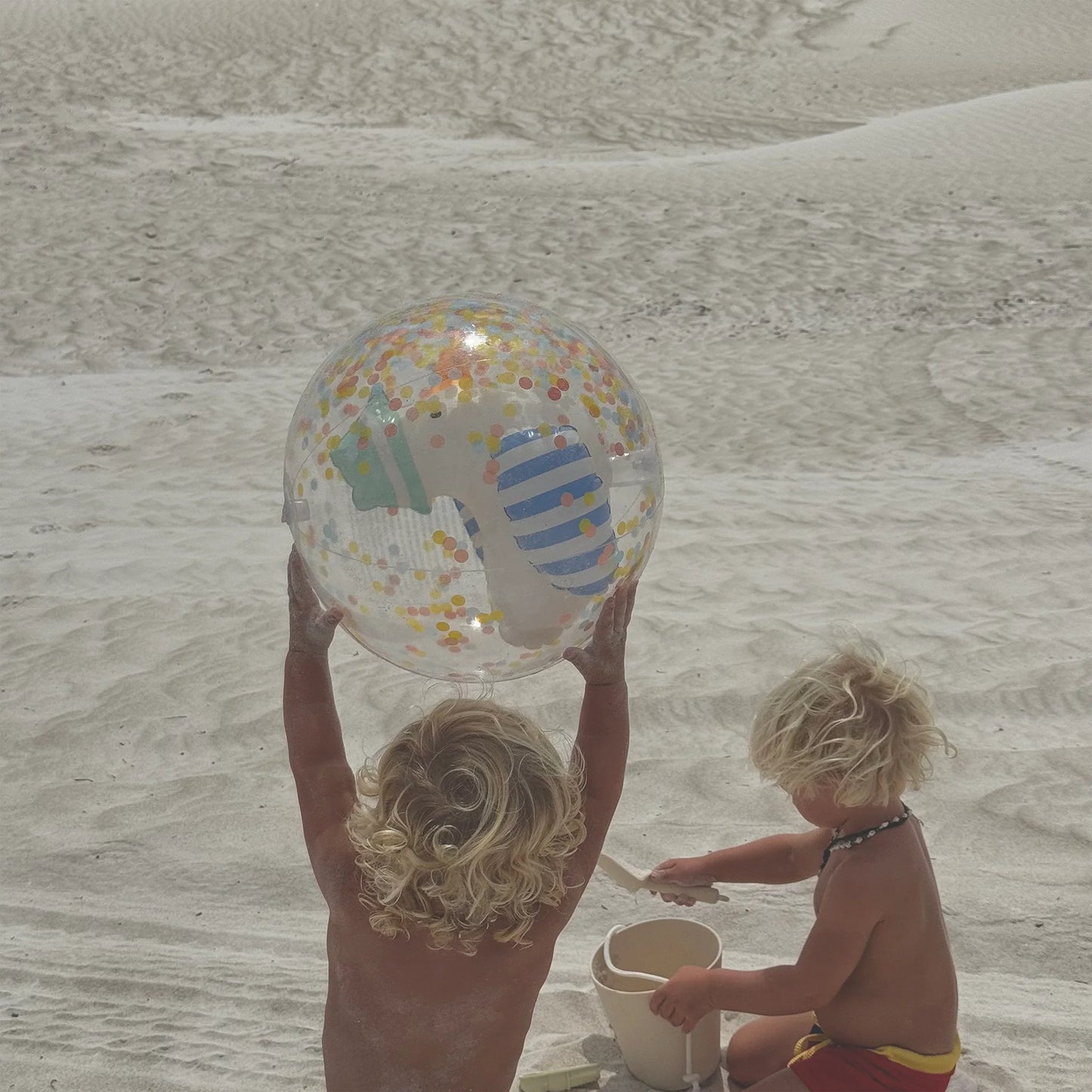 3D Inflatable Beach Ball - Sid the Seagull