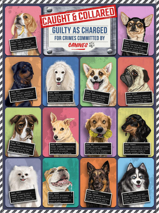 Dogs Caught & Collared