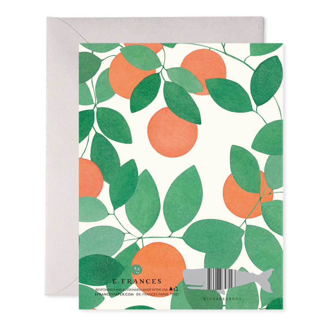 Orange Grove Boxed Thank You Cards