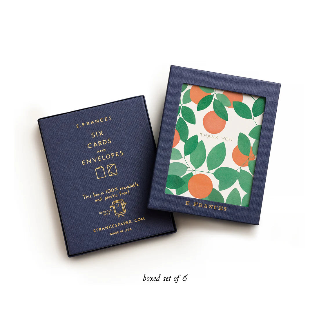 Orange Grove Boxed Thank You Cards