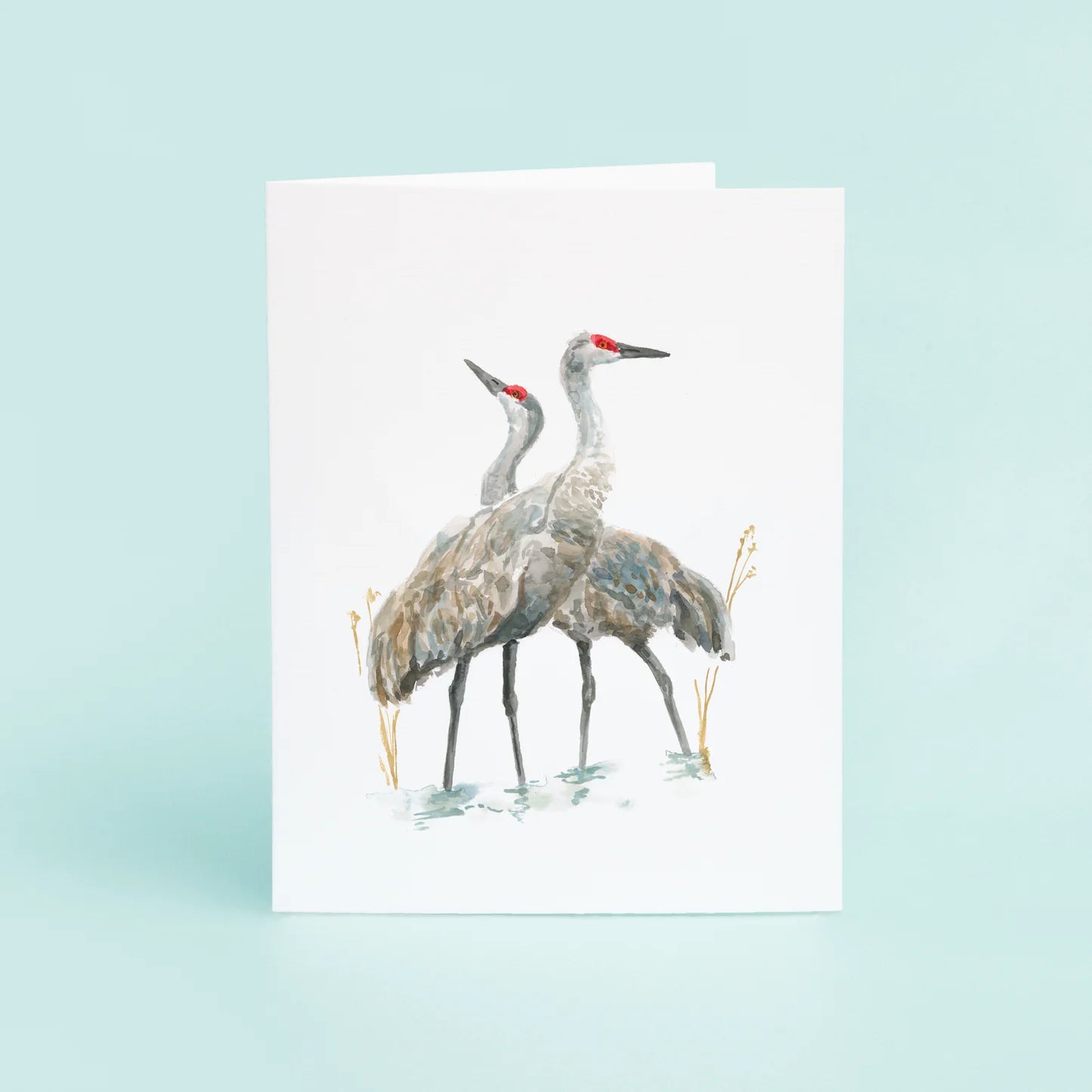 Sandhill Crane Box of Cards