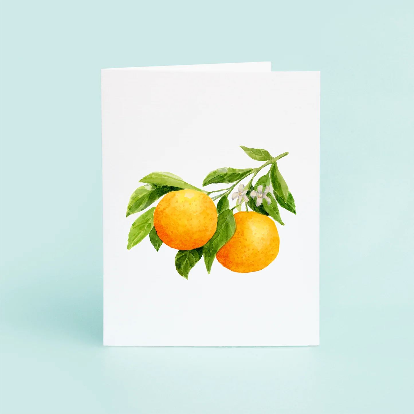 Oranges Box of Cards