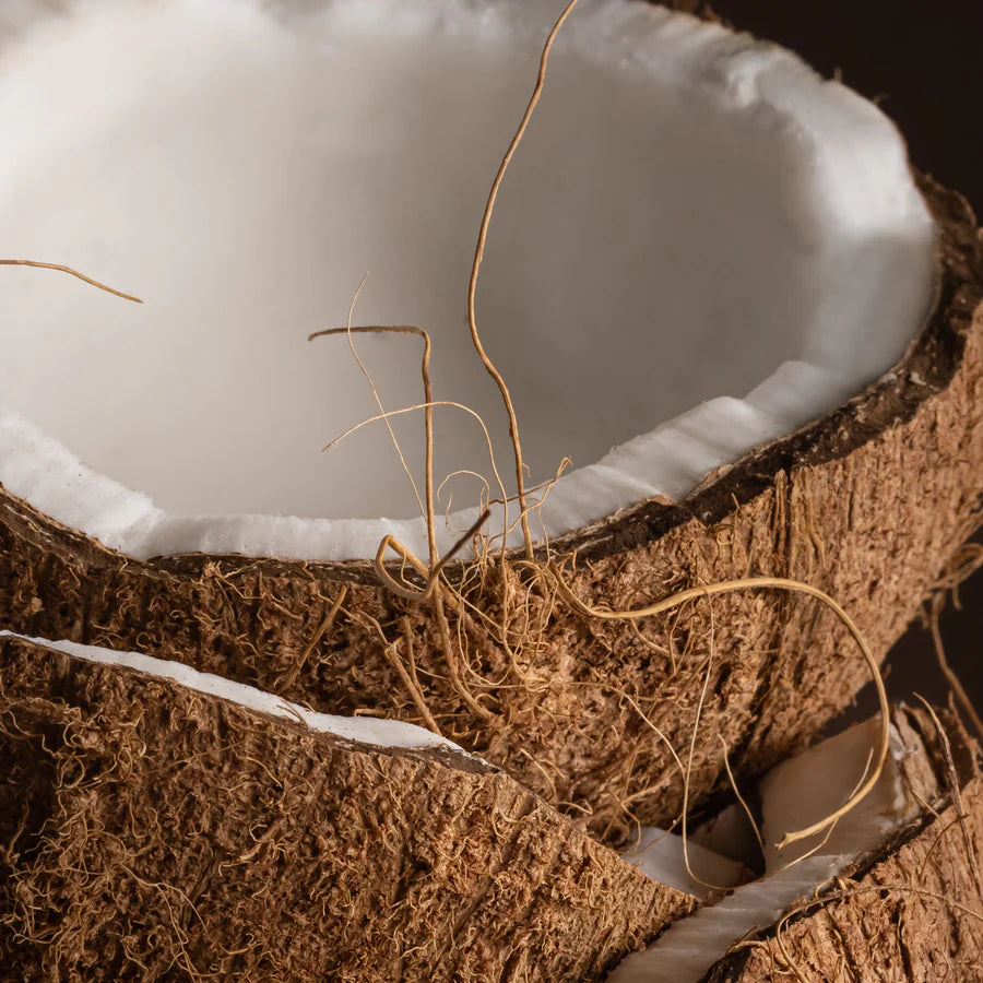 Coconut Calm - Car Diffuser Fragrance Refill - Becki Owens