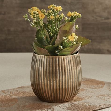 Corrugated Planter Gold