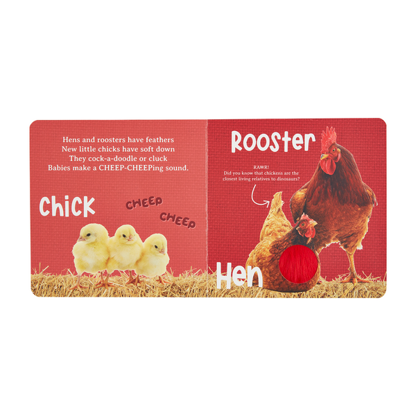 Hear And Feel Farm Book