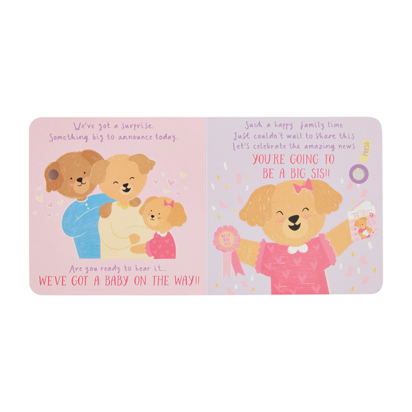 Sounds Like Big Sister Book