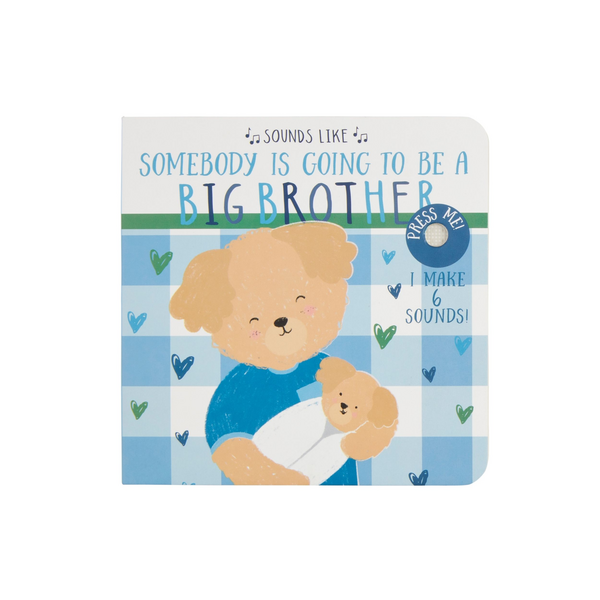 Sounds Like Big Brother Book